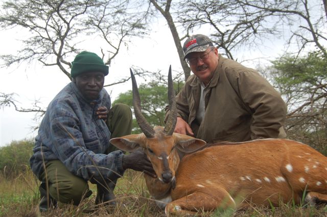 D Bahl Bushbuck