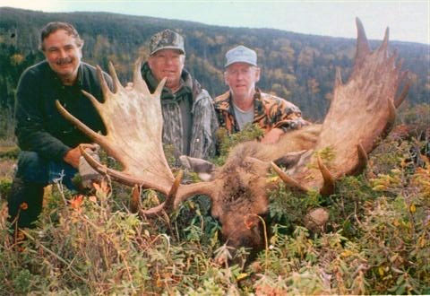 Lad's Newfoundland Moose