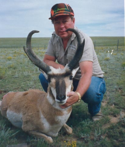 Pronghorn