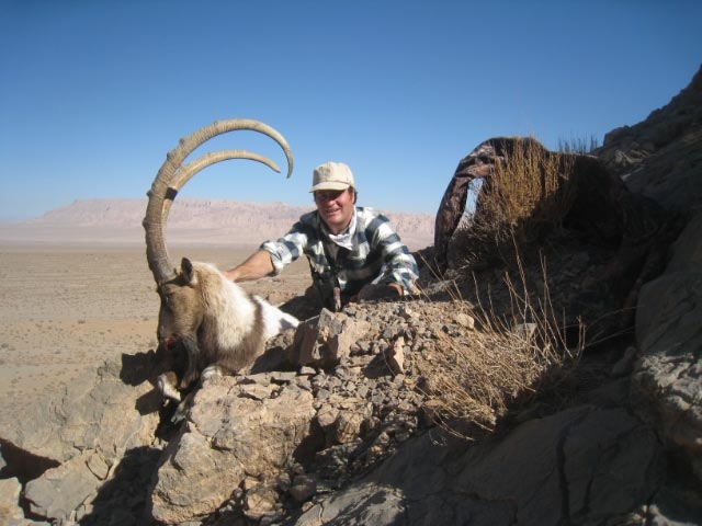 Ibex 2