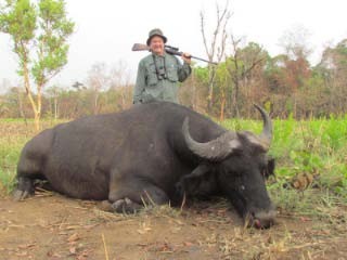 Hoestenbach Buffalo