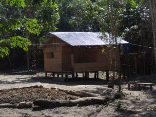 Base Camp in the Bella Forest