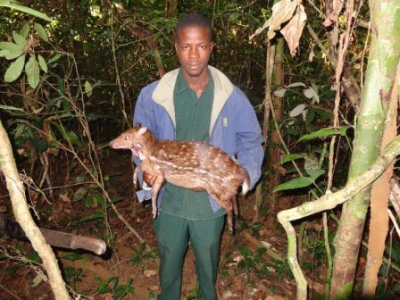 Guide Edwin Brophy holding Ken's WATER CHEVROTAIN